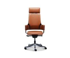 Delphi Leather Desk Chair 23 Delphi Leather Desk Chair -Quality Furniture Store M03 14499MA BN