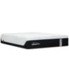 TEMPUR Luxe-Adapt Soft Mattress